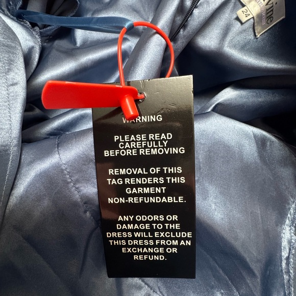 Ladivine By Cinderella Divine Formal Dress Long Sleeve Satin Smoky Blue Size 24 - Picture 8 of 8